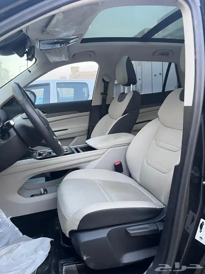 تيريتوري مصدوم 0