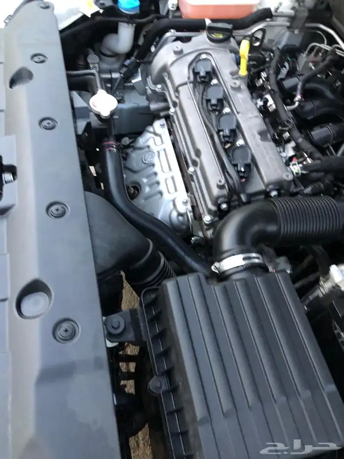 شانجان السفن 2023 12