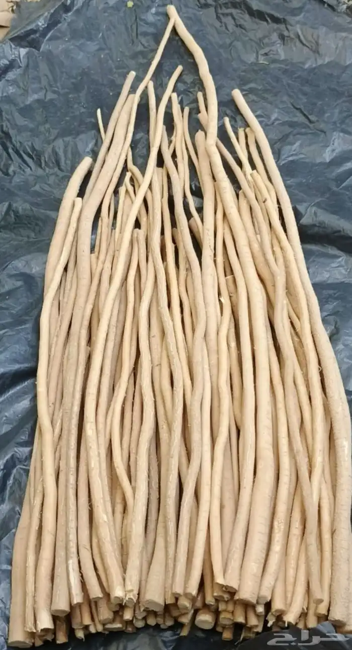 مساويك حلي ابو حنش 2