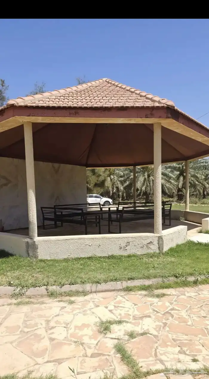 مزرعه الجوهره بالبكيريه 12