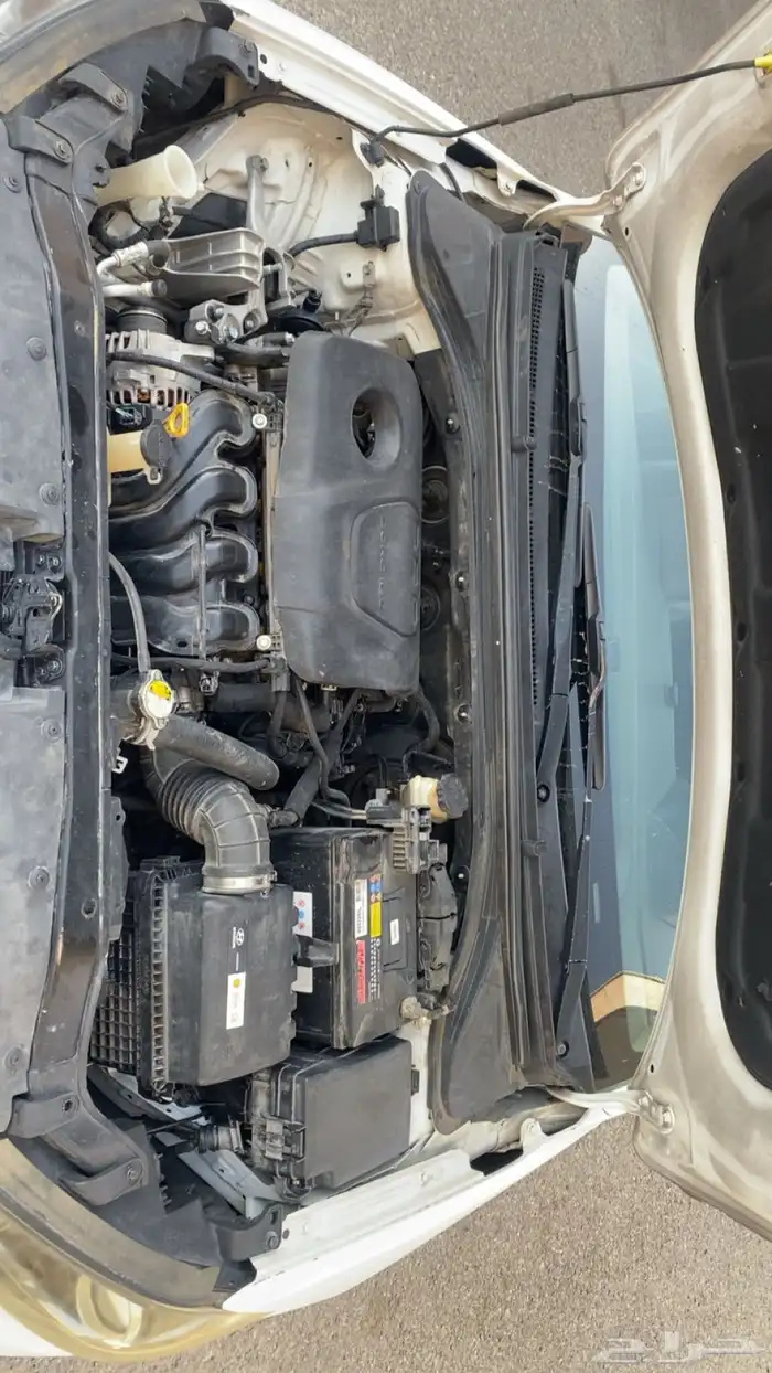 النترا للبيع 16