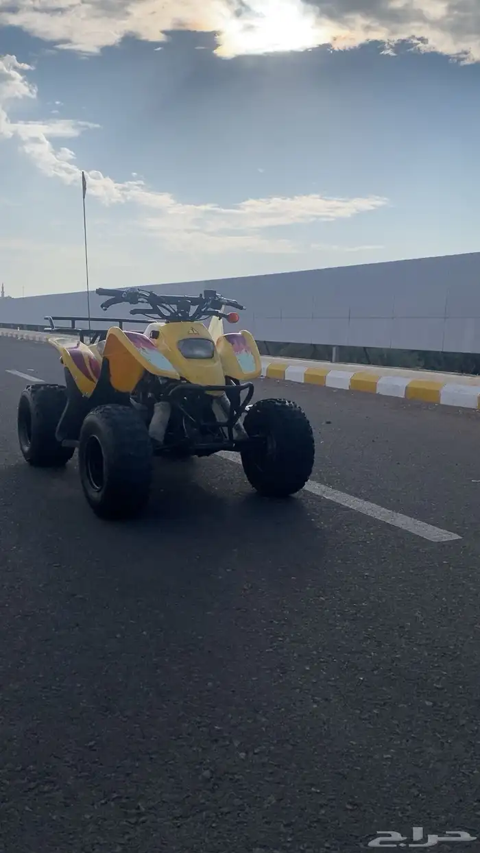 دباب سويدي 3