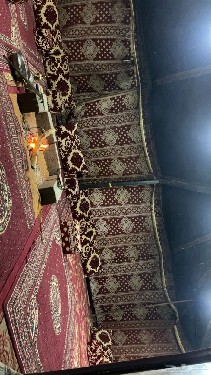 مخيم عوائل وعزاب 11