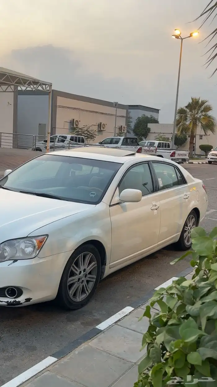 أفالون لمتد 2007 11