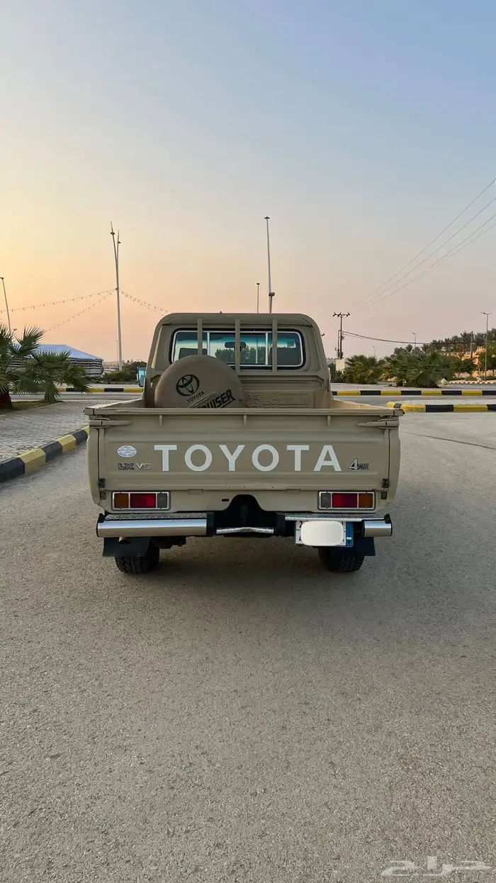 شاصي رفرف بلد (2010) 5