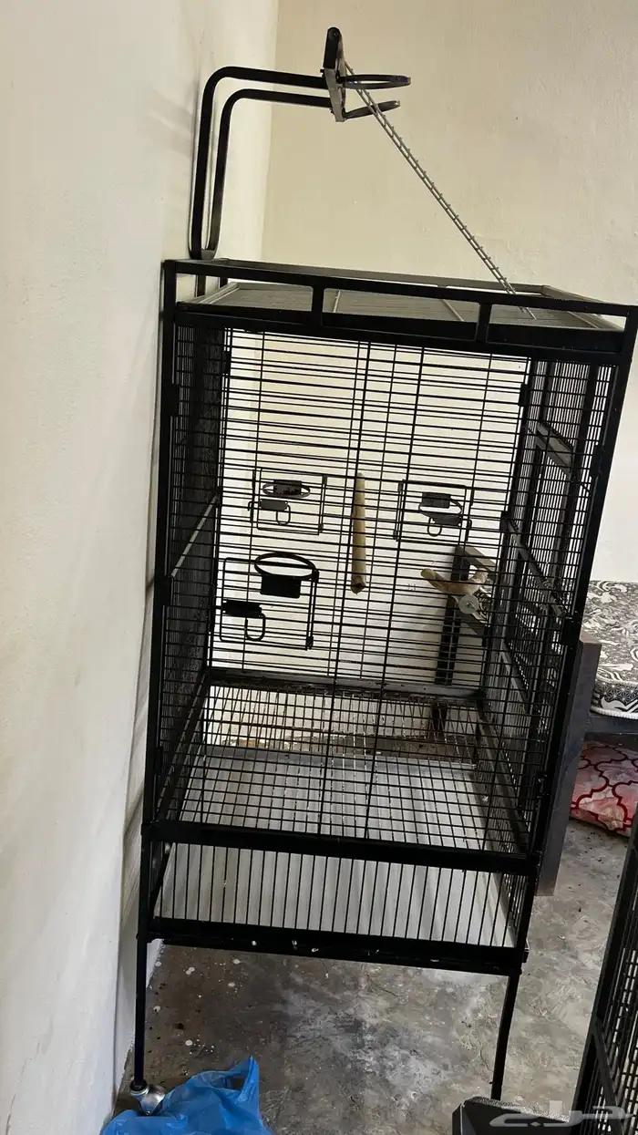 للبيع شبك ببغاء 4