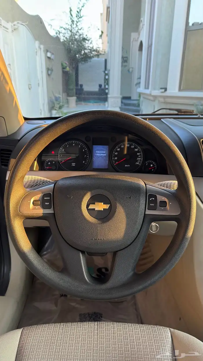 كابرس 2013 LS عشبي بلد . 14