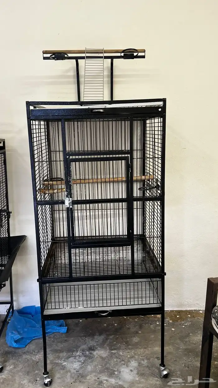 للبيع شبك ببغاء 3