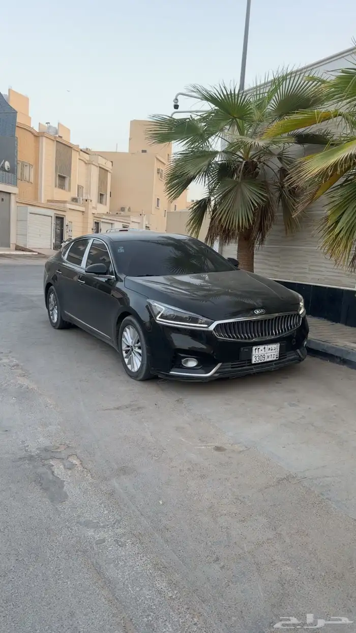 كادينزا 2019ديزل 2