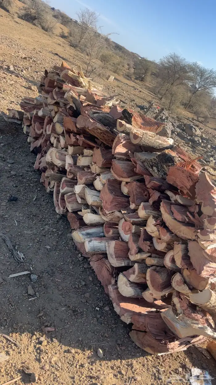 حمله حطب شاص 0