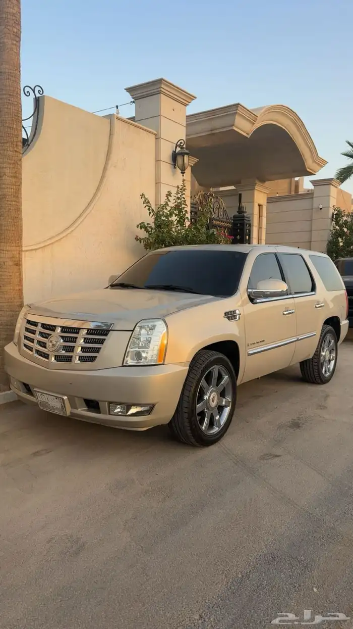 كاديلاك اسكاليد 2009 للبيع 3