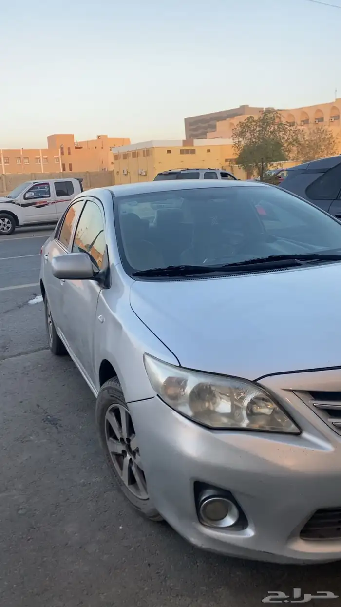 كورلاء 2013 قير عايدي 2