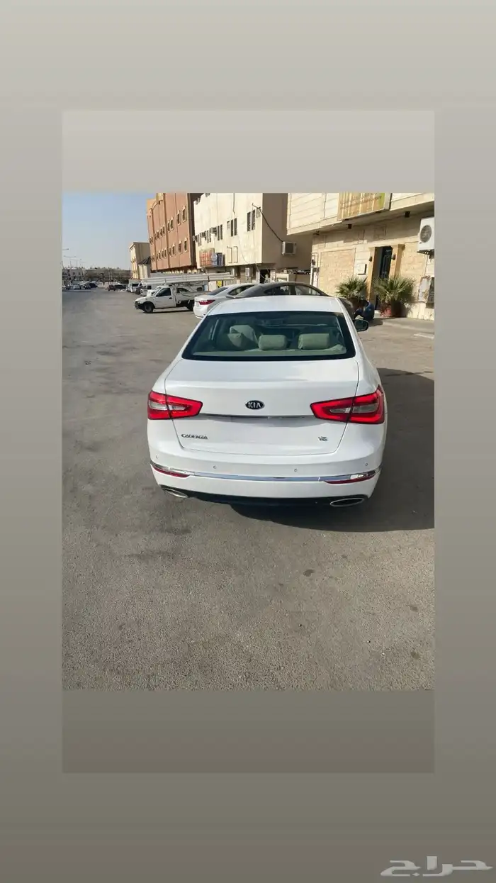 كادينزا2014 1