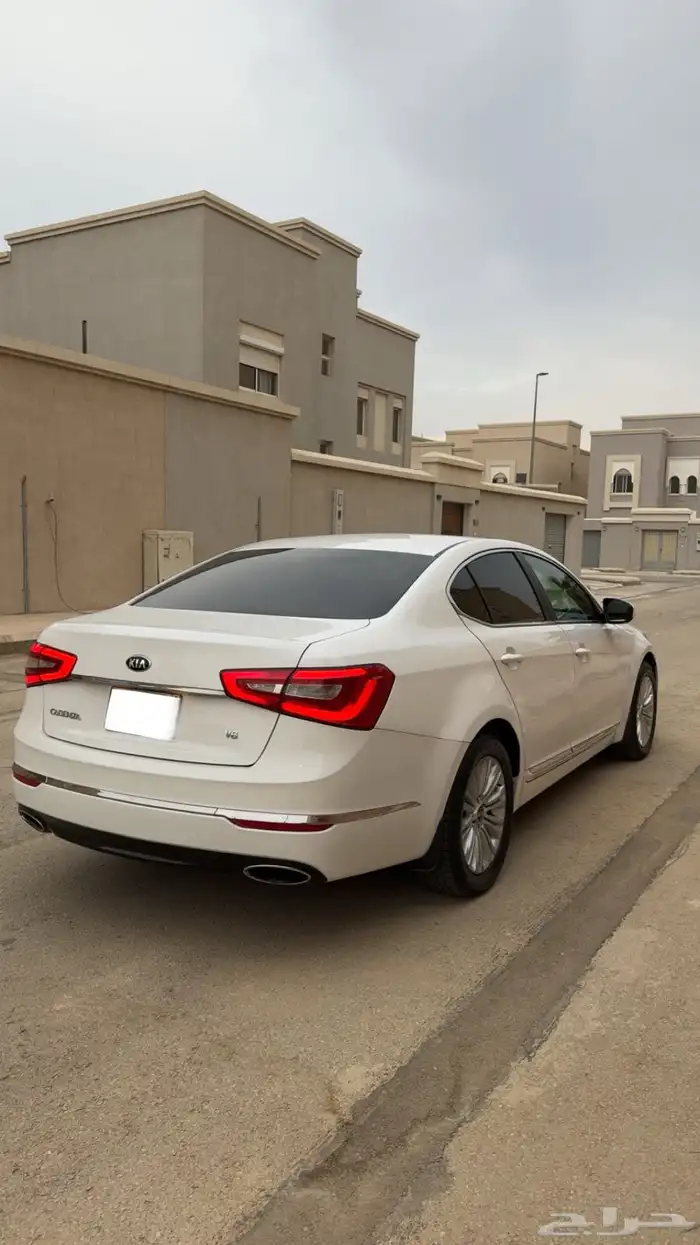 كادينزا 2016 2