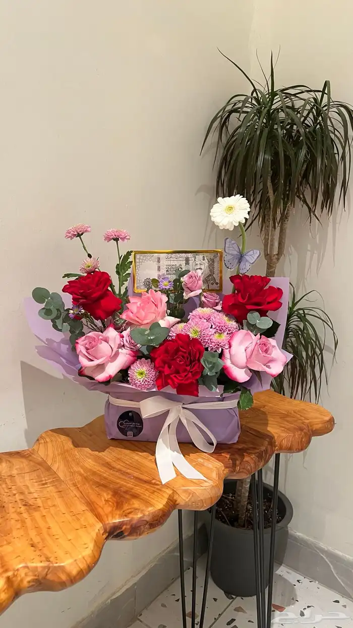 سكارف ميكاسا جدة هدايا كلارا 5