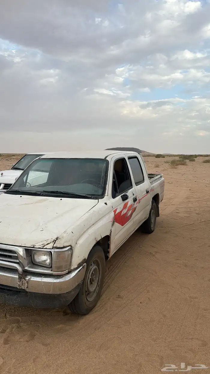 هيلكس 98 بدون أوراق 0