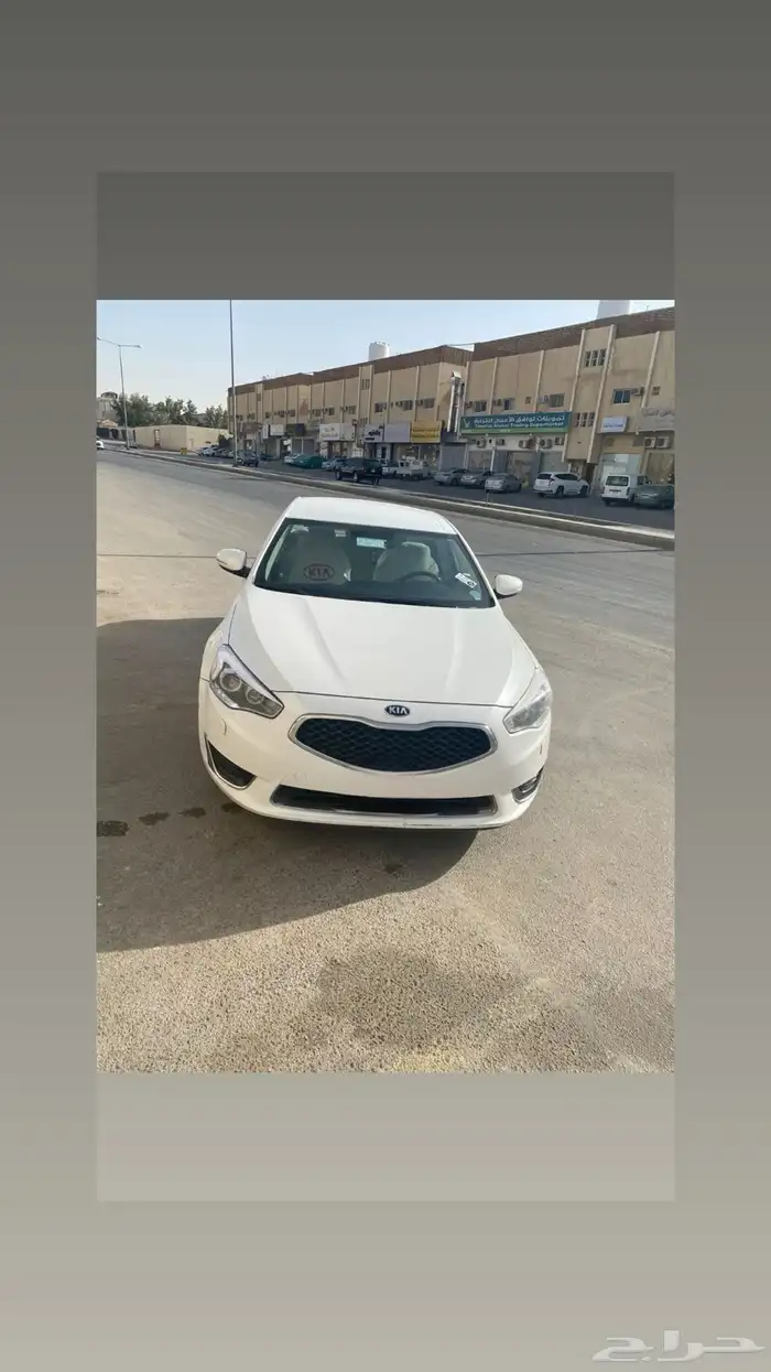 كادينزا2014 0