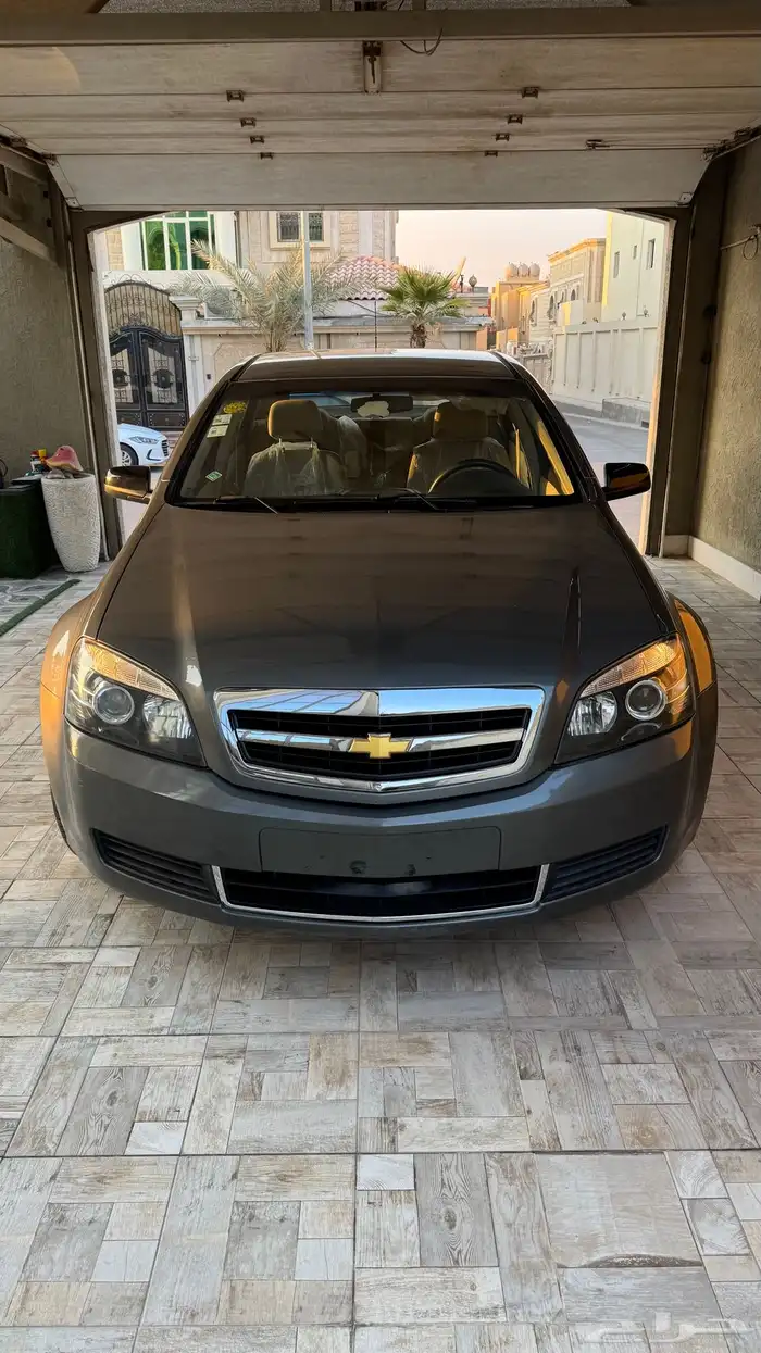 كابرس 2013 LS عشبي بلد . 1