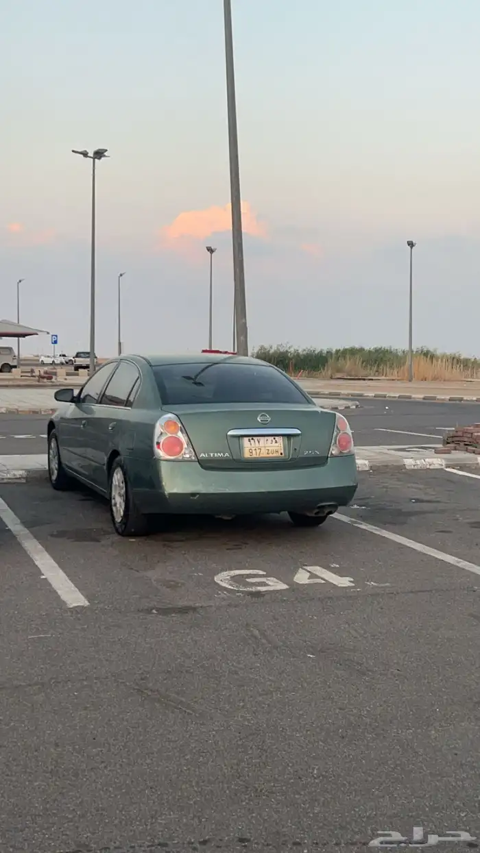 التيما 2006 11