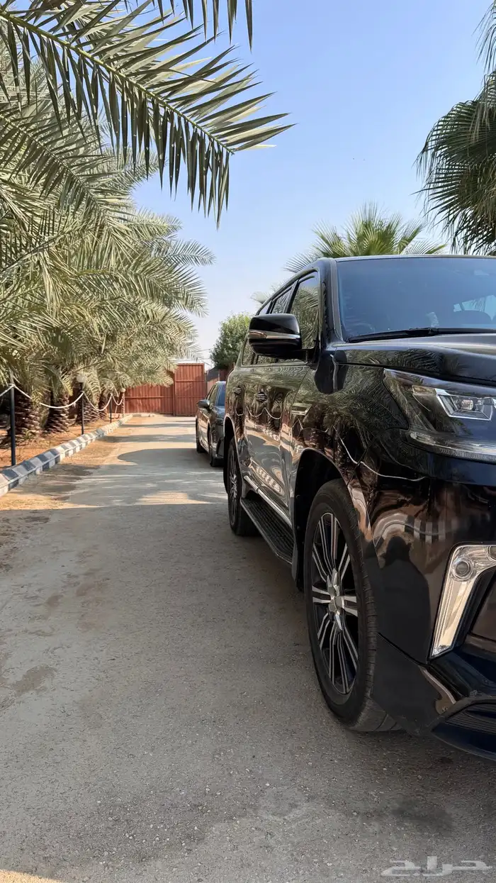 جيب لكزس DD بريمي 2020 7