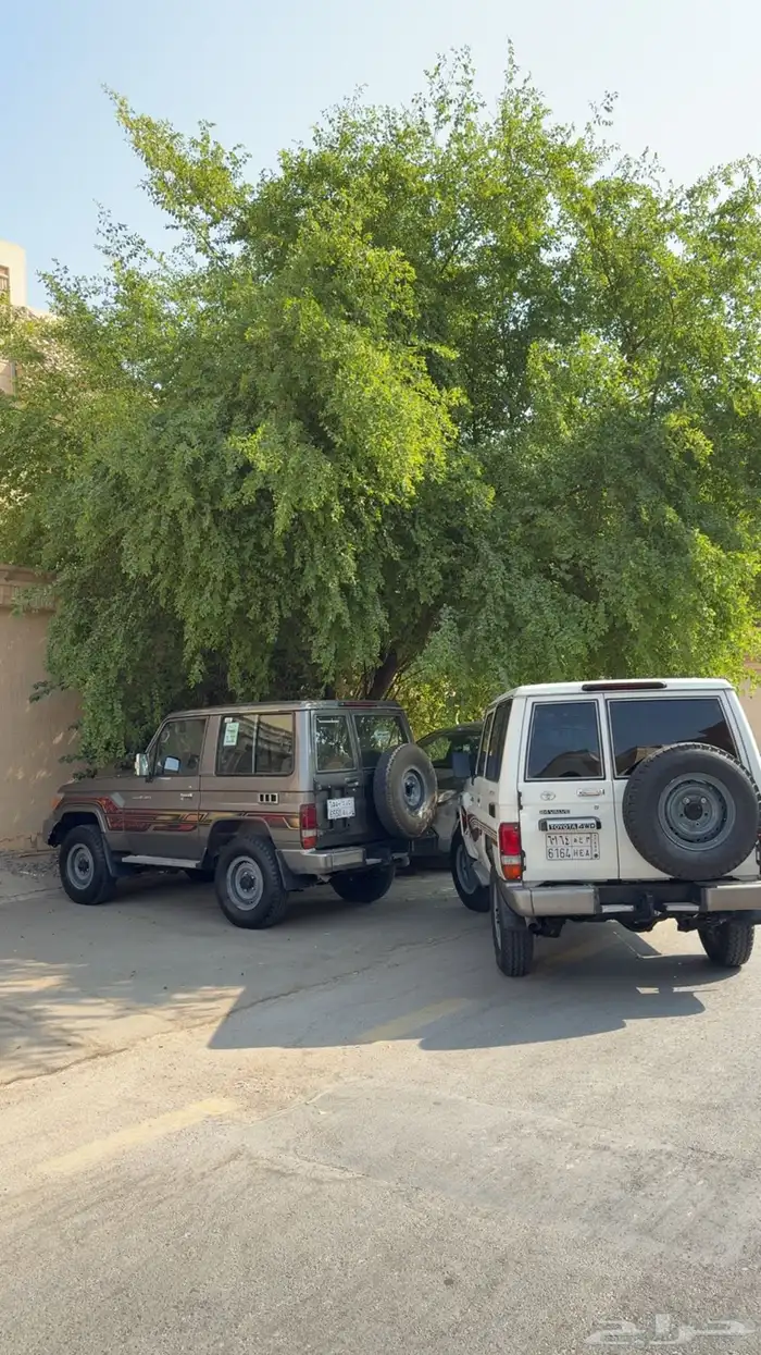 جيب ربع 2015 1