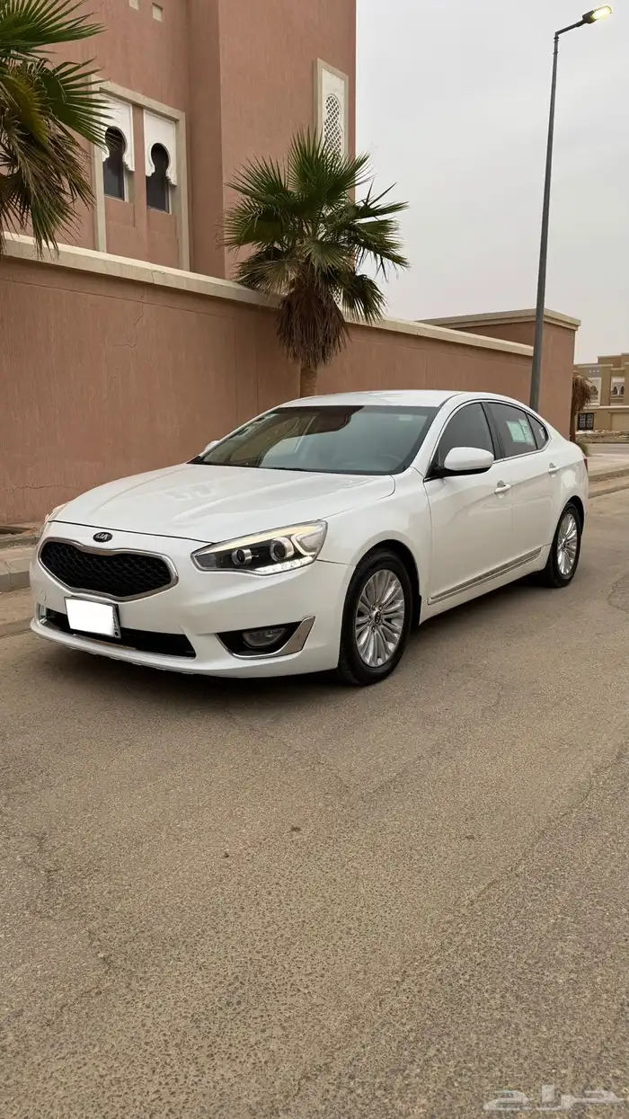 كادينزا 2016 0