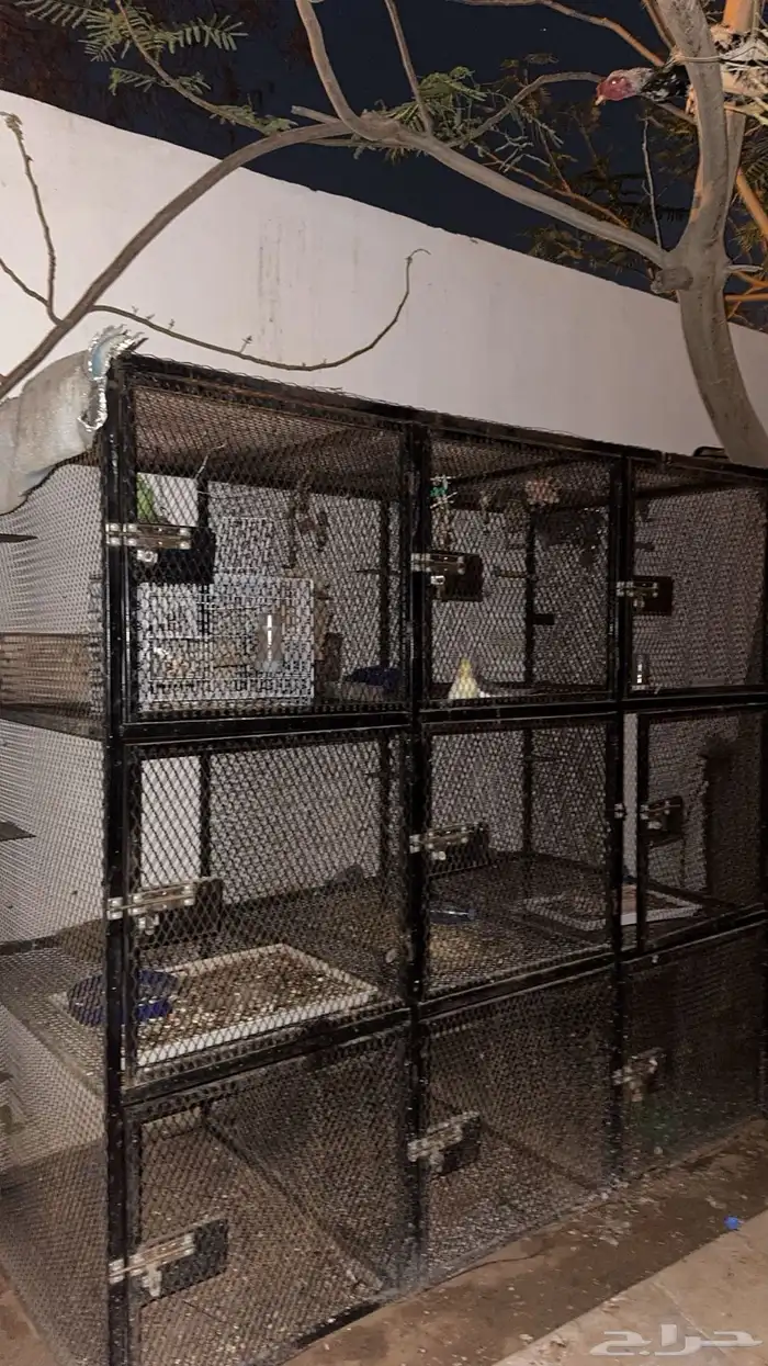 قفص طيور قطط حيوانات أليفه 2