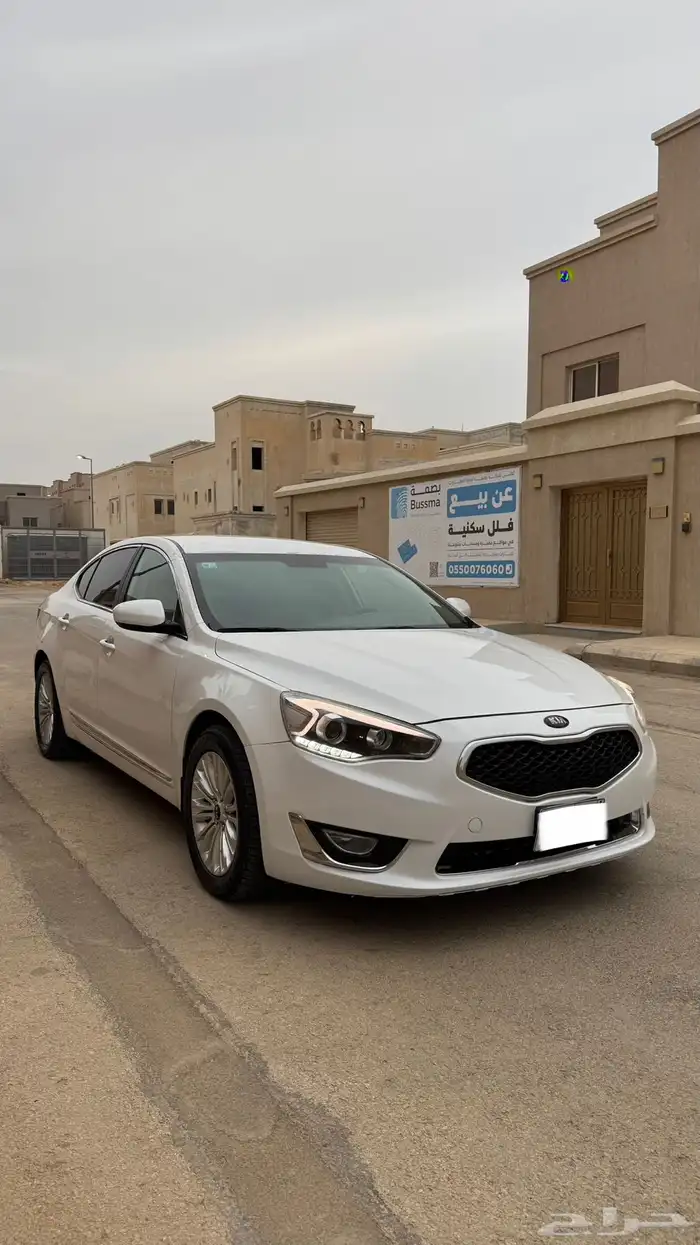 كادينزا 2016 1