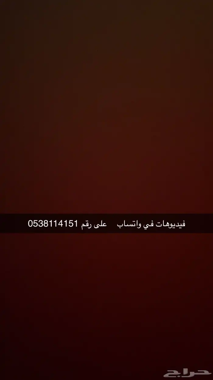 فروخ دجاج بلدي و براهما 0