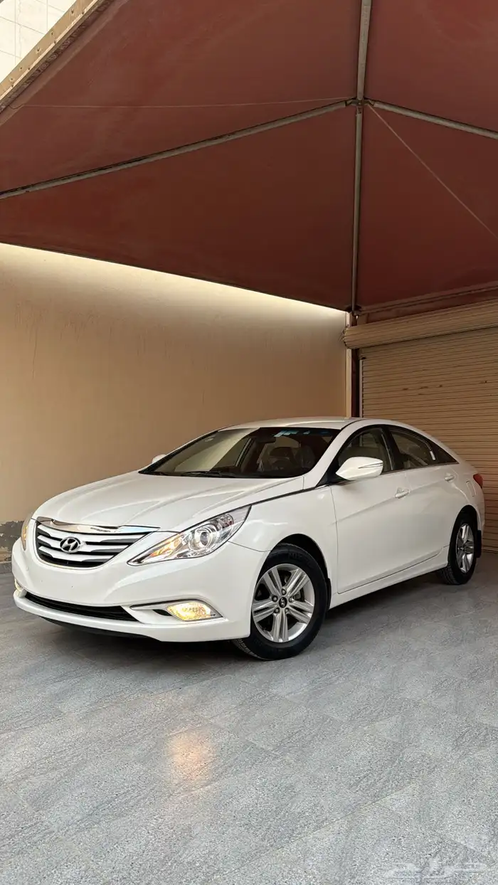 جنوط مجدوعي 2014 . 11