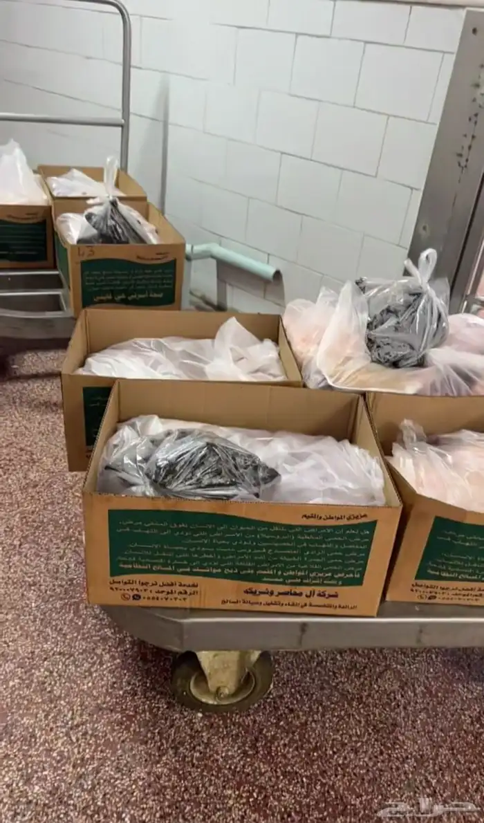 ذبايح حري نعيمي نجدي تيوس عوارض يوجد ذبح توصيل تمارا 14