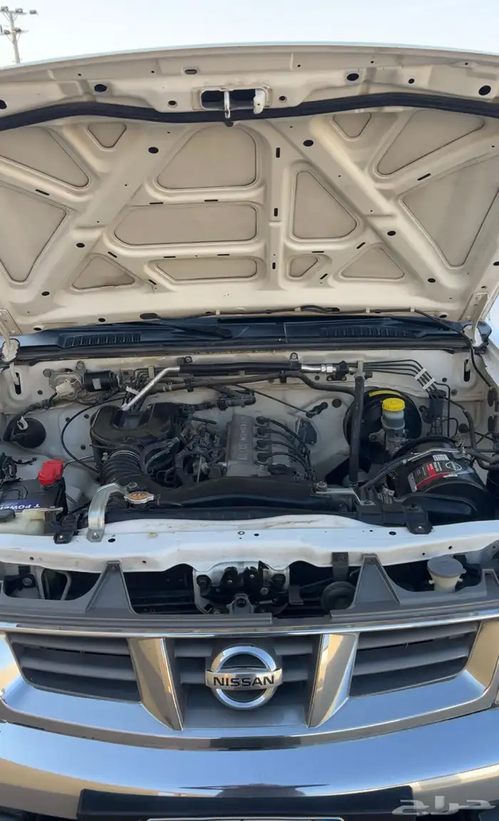 ددسن غماره 2010 5