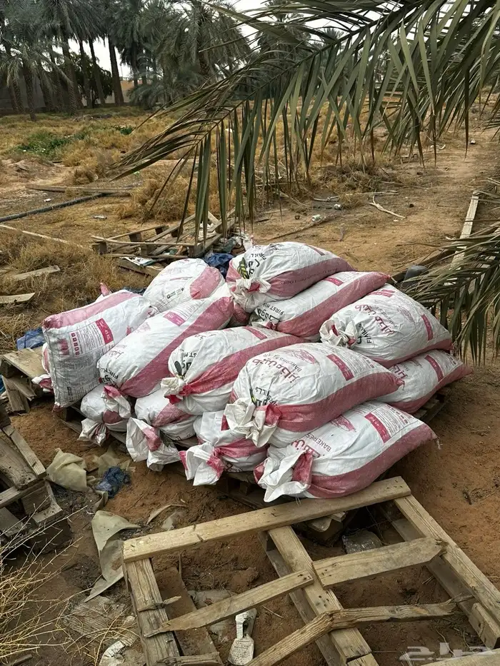 للبيع تمر علف 2