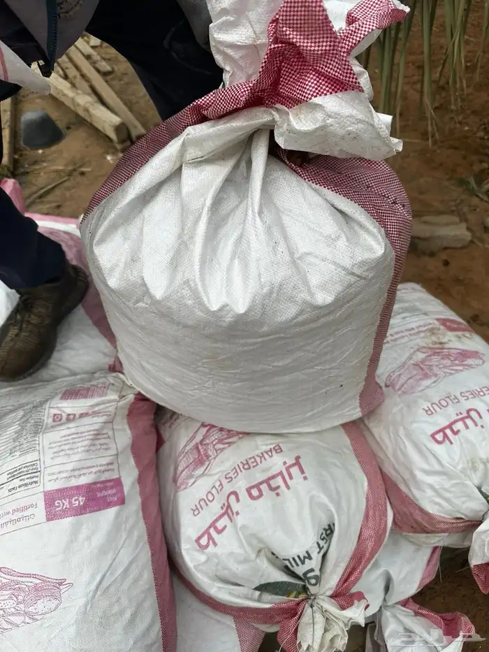 للبيع تمر علف 3