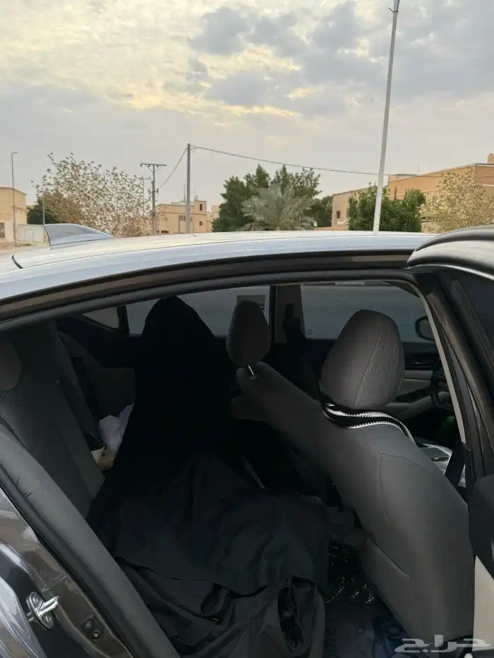 التيما للتنازل 12