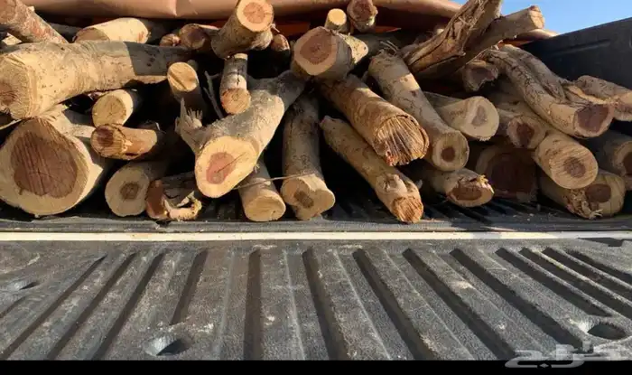 سمر افريقي مستورد 0