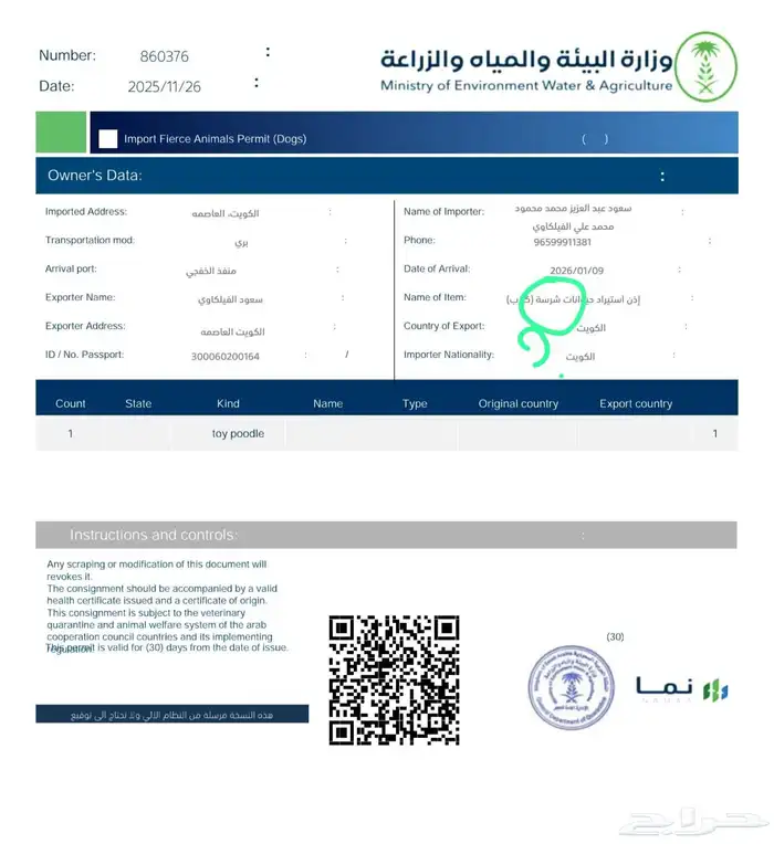 Premium Female Toy Poodle Puppy - Complete Package- بودل 9