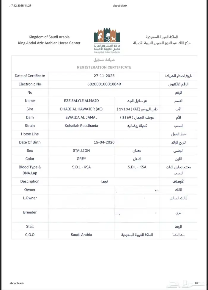 حصان معسوف 5