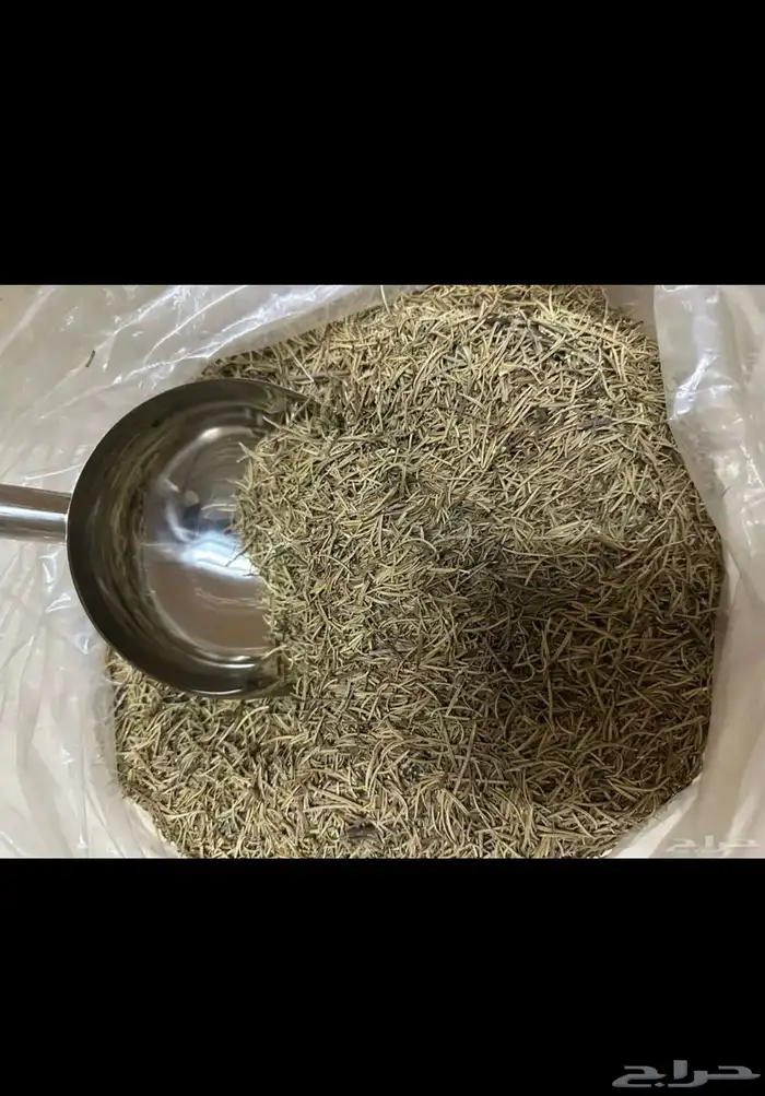 اكليل الجبل البلدي 3