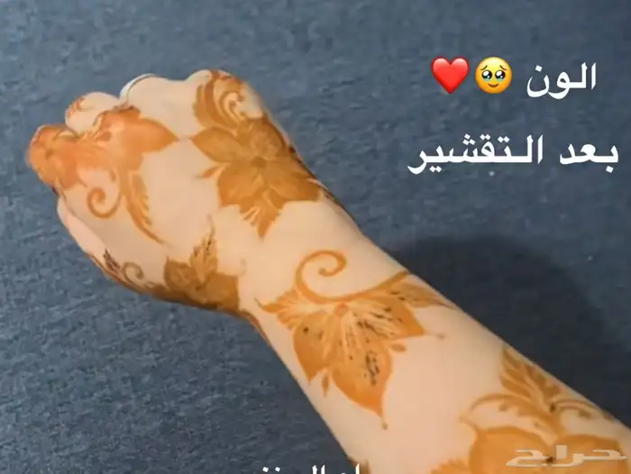 نقاشة بيشة 9