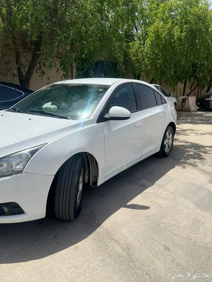 شفر كروز 2012 2