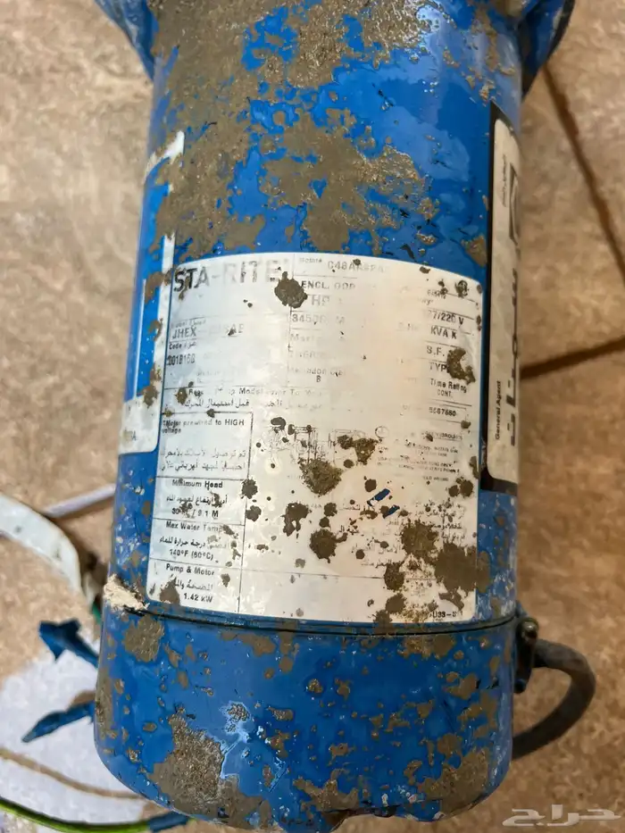 دينمو سمنان شبه الجديد 2