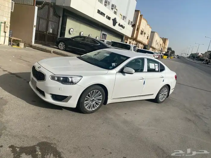 كادينزا2014 2