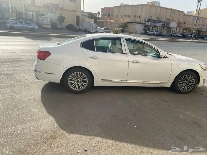 كادينزا2014 3