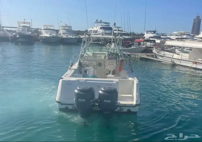 قارب Boston Whaler للبيع 3