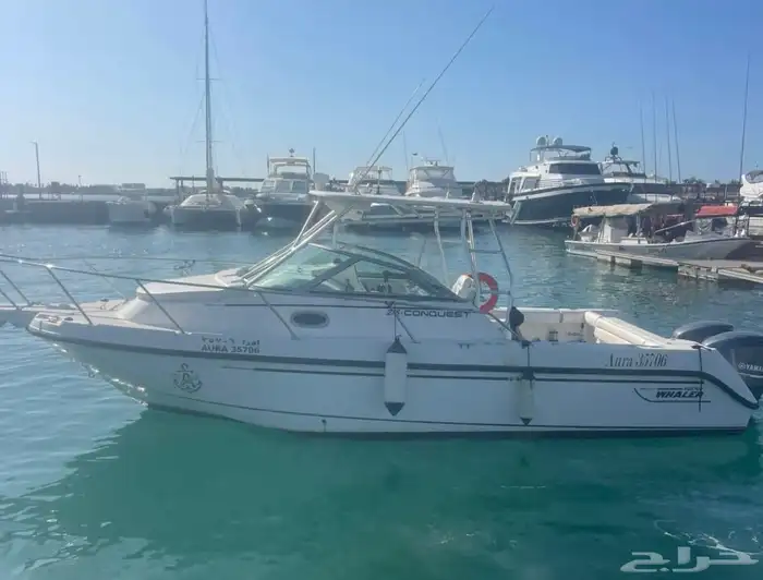 قارب Boston Whaler للبيع 1