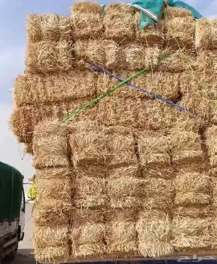 علف تبن شعير حمولة دنا 0