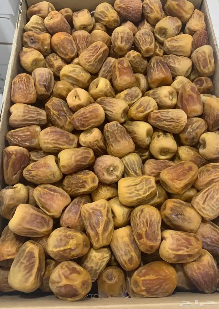 سكري مفتل ملكي 0