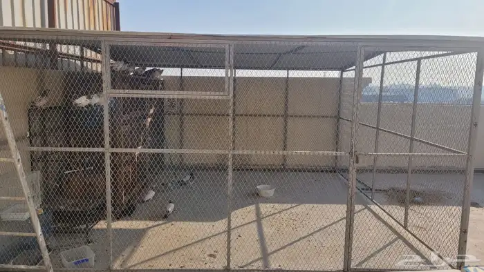 عشة طيور للبيع 2