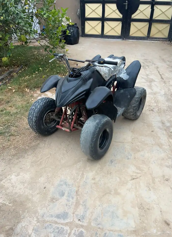 دباب الوسيط 100 3